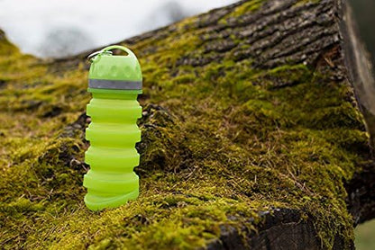 Rosewood Collapsible Travel Bottle