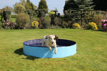 Rosewood Cool Down Dog Pool 120 X 30 Cm Medium