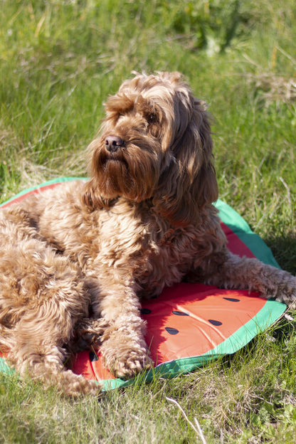 Rosewood Chillout Coolmat Watermelon Round 60 x 60cm