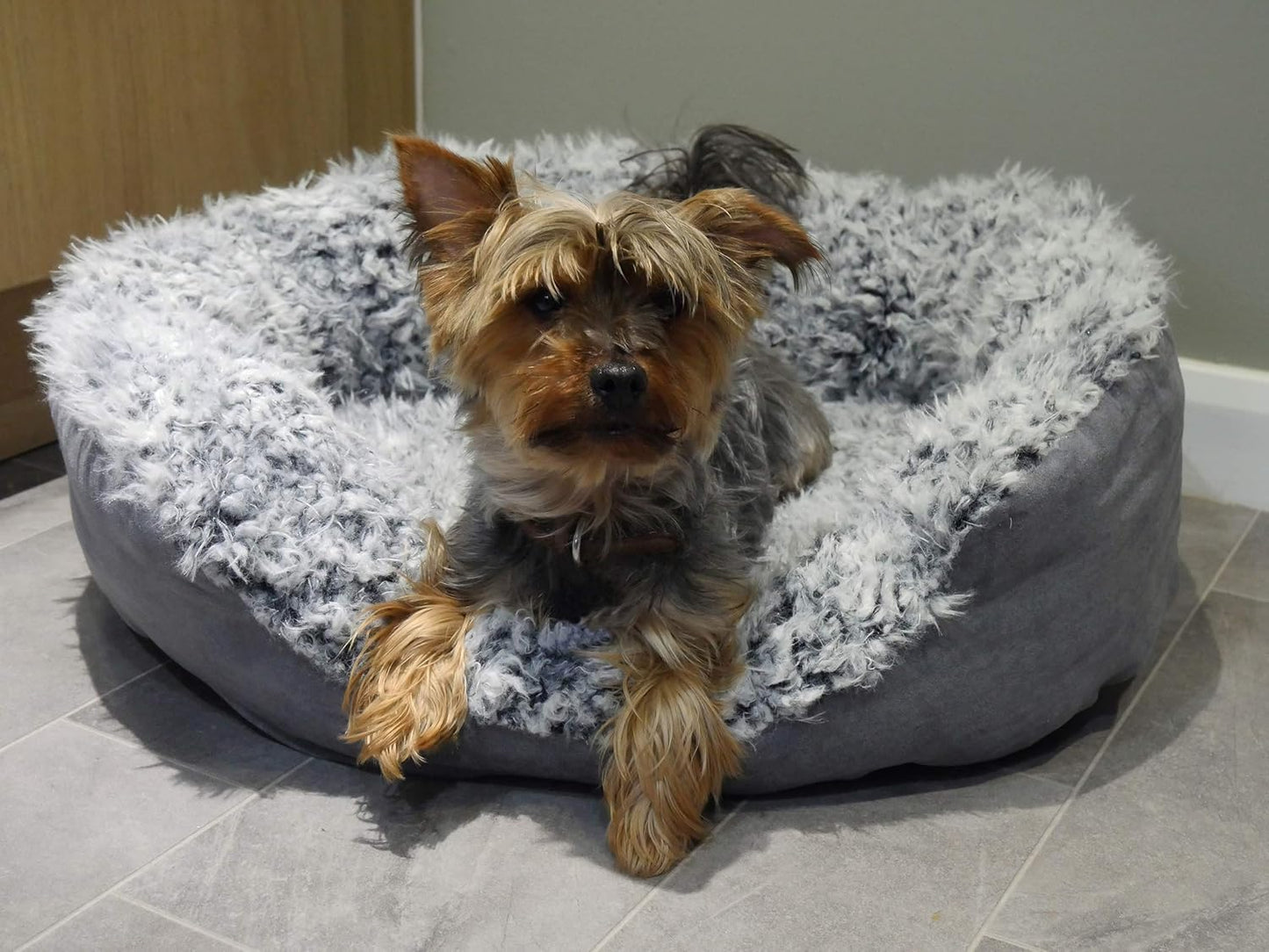 Rosewood Grey Lion Faux Suede Oval Dog Bed 25"