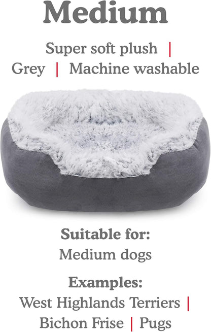 Rosewood Grey Lion Faux Suede Oval Dog Bed 25"