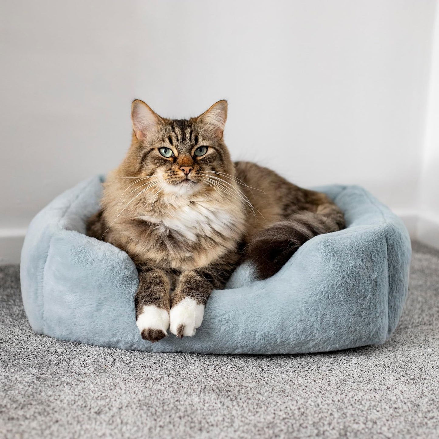 Rosewood Fur Fox Bed Blue Small