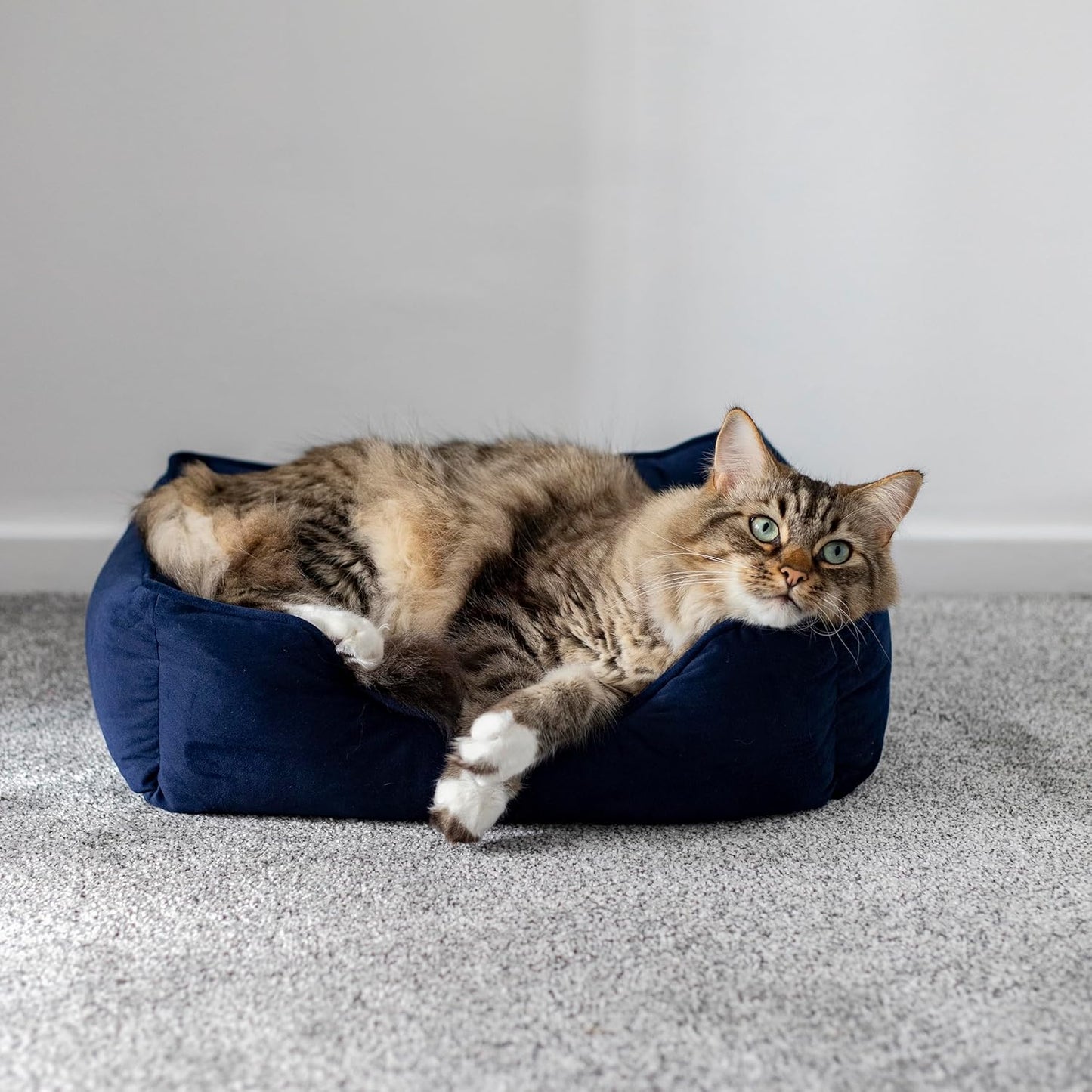 Rosewood Velvet Square Bed Navy Small