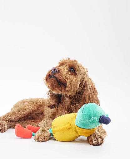 Joules Hop To It Frog Dog Toy