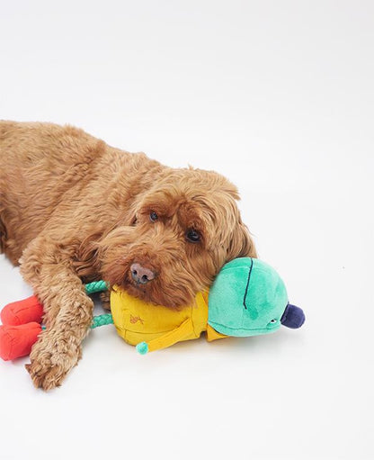 Joules Hop To It Frog Dog Toy