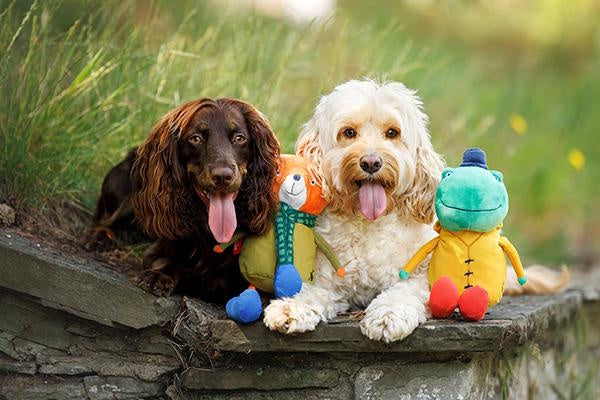 Joules Hop To It Frog Dog Toy