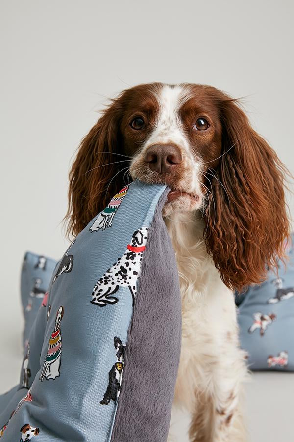 Joules Rainbow Dog Box Bed Small