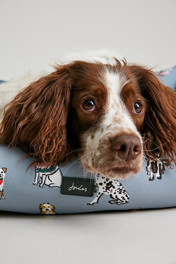 Joules Rainbow Dog Box Bed Small