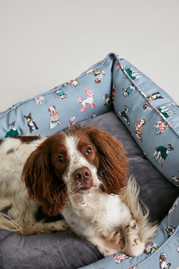 Joules Rainbow Luxury Dog Box Bed Large