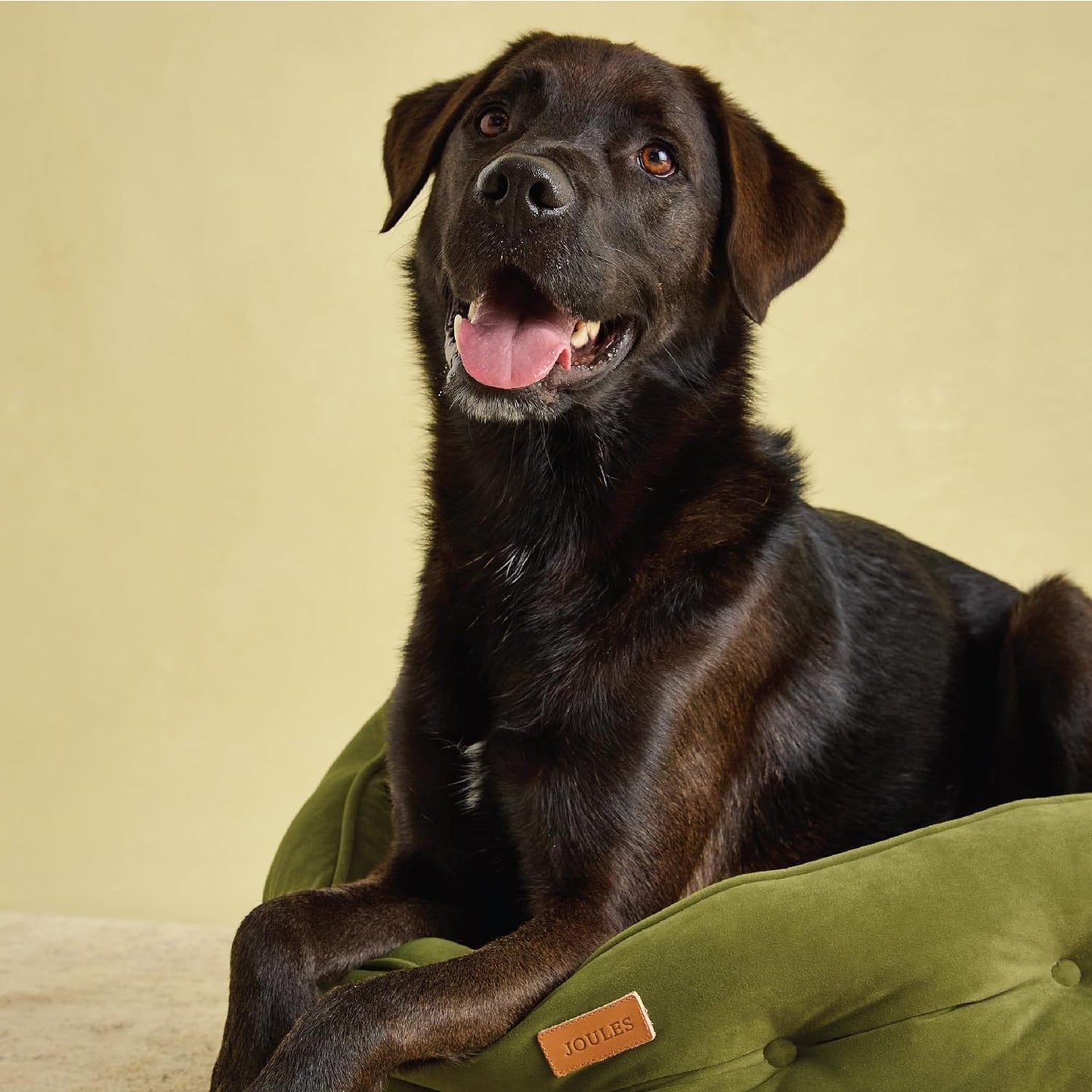 Joules Chesterfield Large Pet Bed Khaki Green Luxury Dog Bed
