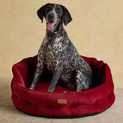 Joules Chesterfield Pet Bed Burgundy Large