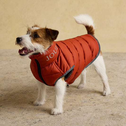 Joules Moorsdale Ketchup Puffer Coat Small Dog Jacket / Coat