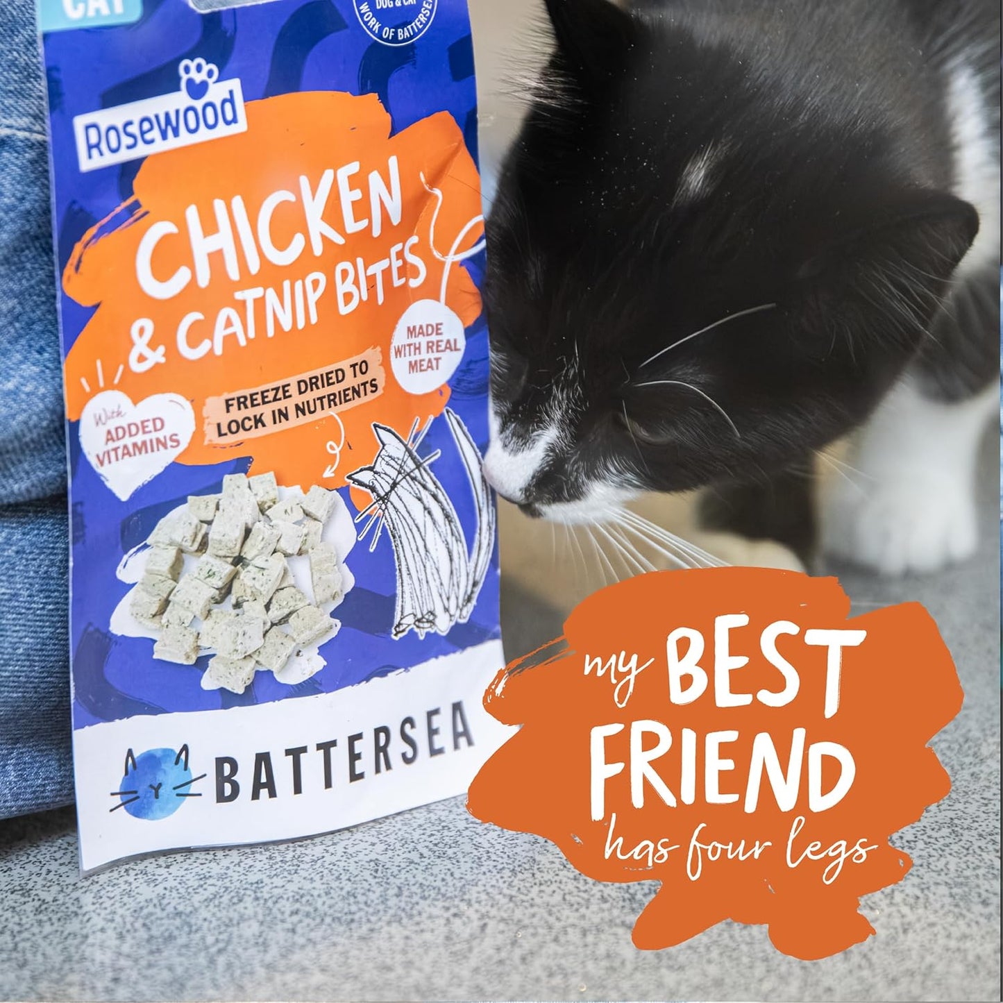 Battersea Chicken & Catnip Bites Cat Treats 15g