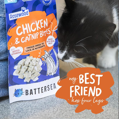 Battersea Chicken & Catnip Bites Cat Treats 15g