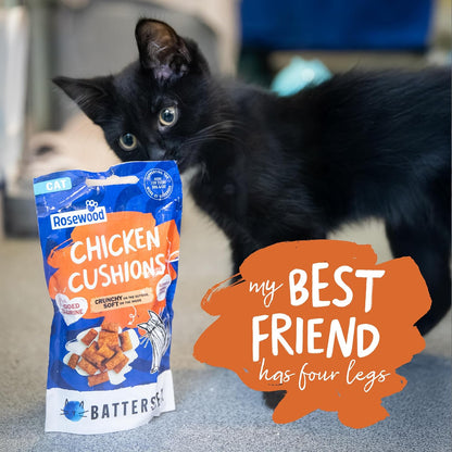 Battersea Chicken Cat Cushions Cat Treats 60g