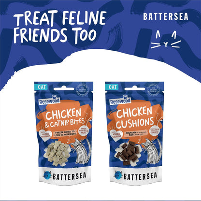 Battersea Duck Fillets Dog Treats 70g
