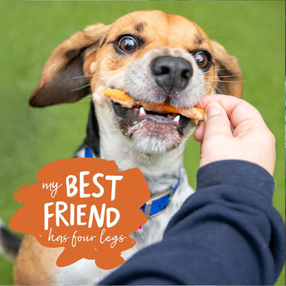 Battersea Chicken Wrapped Carrot Sticks Dog Treats 80g