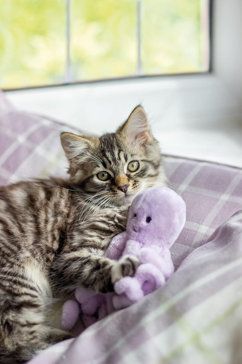 Rosewood Jolly Moggy Under The Sea Octopus