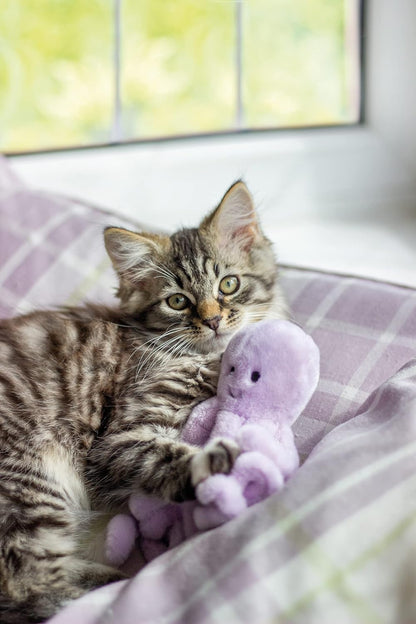 Rosewood Jolly Moggy Under The Sea Octopus