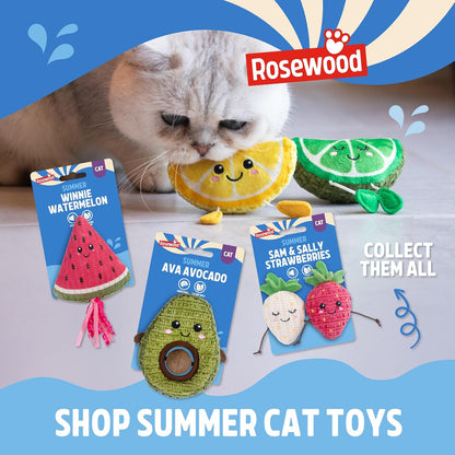 Rosewood Leo Lemon & Layla Lime Cat Toys