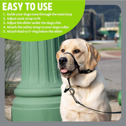 Rosewood Walk 'n' Train Head Halter For Medium Dogs