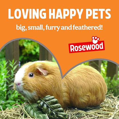 Rosewood Bunny Fun Tree Small Animal Toy