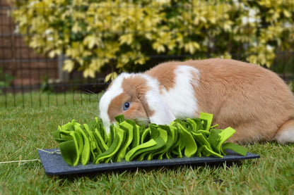 Rosewood Boredom Breaker Small Animal Snuffle Forage Mat