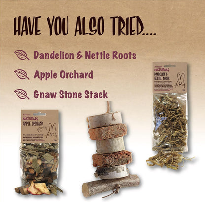 Rosewood Naturals Herb N Hazel Gnaw Sticks 4 Pieces