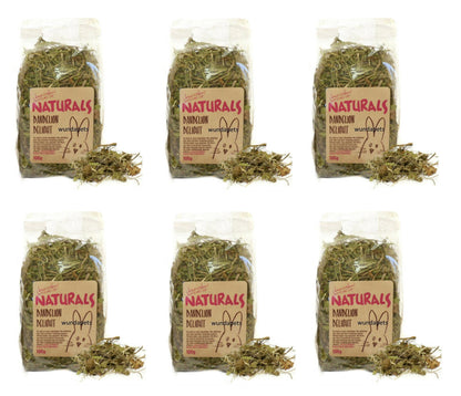 Rosewood Dandelion Delight 100g