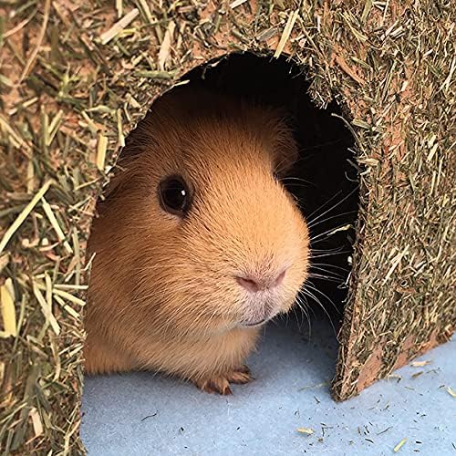 Rosewood Naturals Carrot Cottage Large