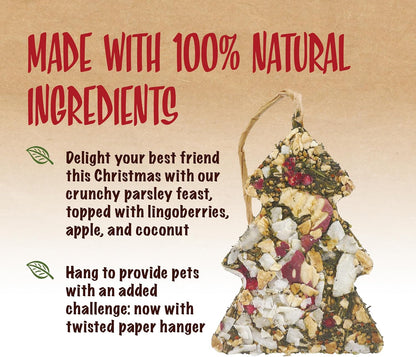 Rosewood Festive Fruit Tree Small Animal Treat