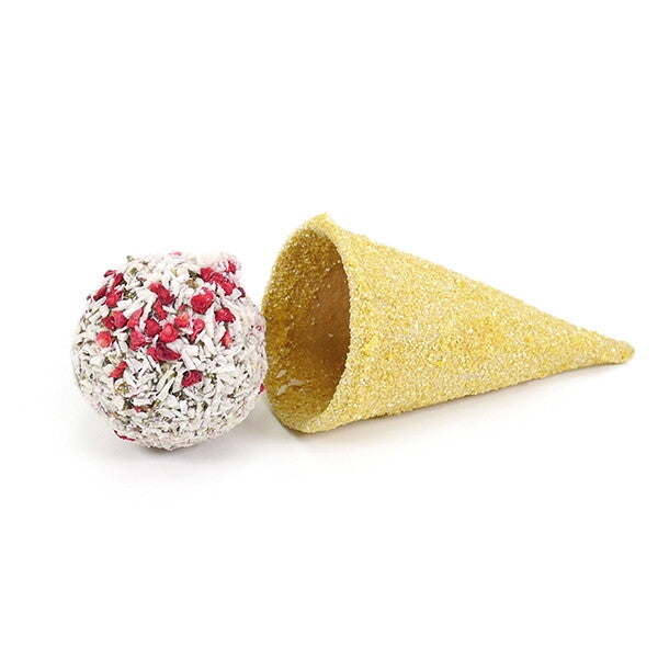Rosewood Raspberry 'N' Coconut Cone Small Animal Treat 50g