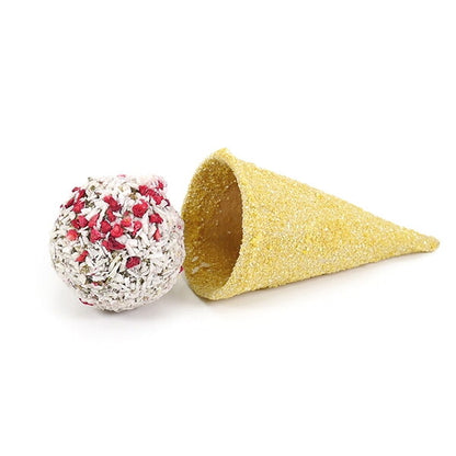Rosewood Raspberry 'N' Coconut Cone Small Animal Treat 50g