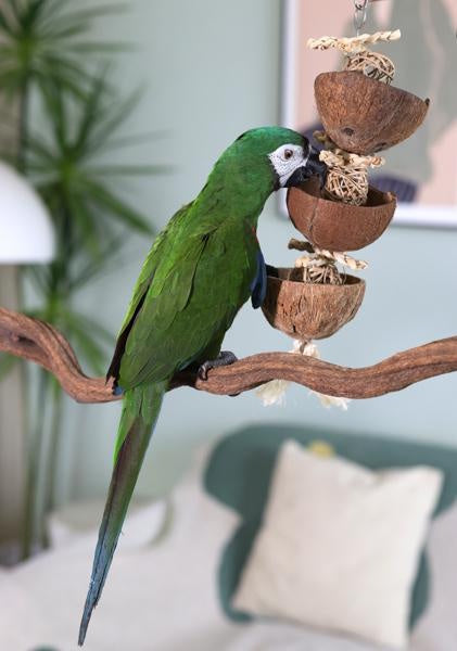 Rosewood Naturals Coco Foraging Tower Small Animals & Birds