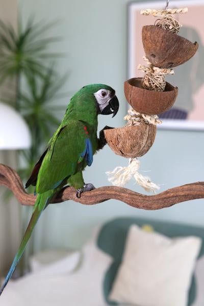 Rosewood Naturals Coco Foraging Tower Small Animals & Birds
