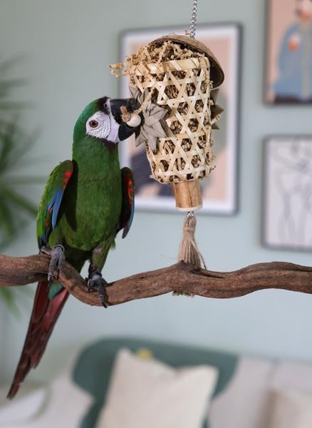 Rosewood Naturals Fill 'n' Forage Small Animal & Birds