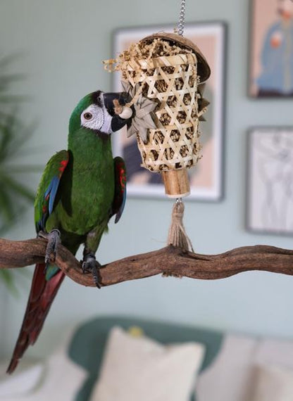 Rosewood Naturals Fill 'n' Forage Small Animal & Birds