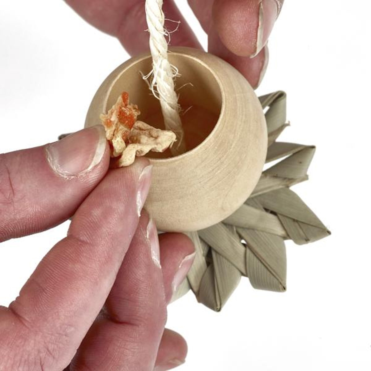 Rosewood Naturals Foraging Cup Challenge For Birds & Small Animals