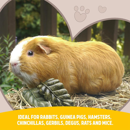 Rosewood Veggie Burst Crunchy Cookies 4 Pieces