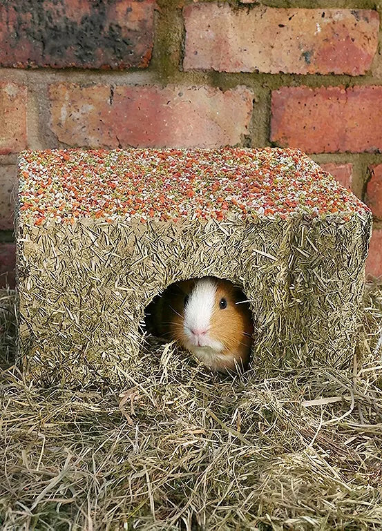 Rosewood Naturals Festive Party Hay Cottage