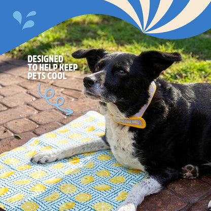 Rosewood Lemon Cooling Mat For Dogs 65 x 50cm