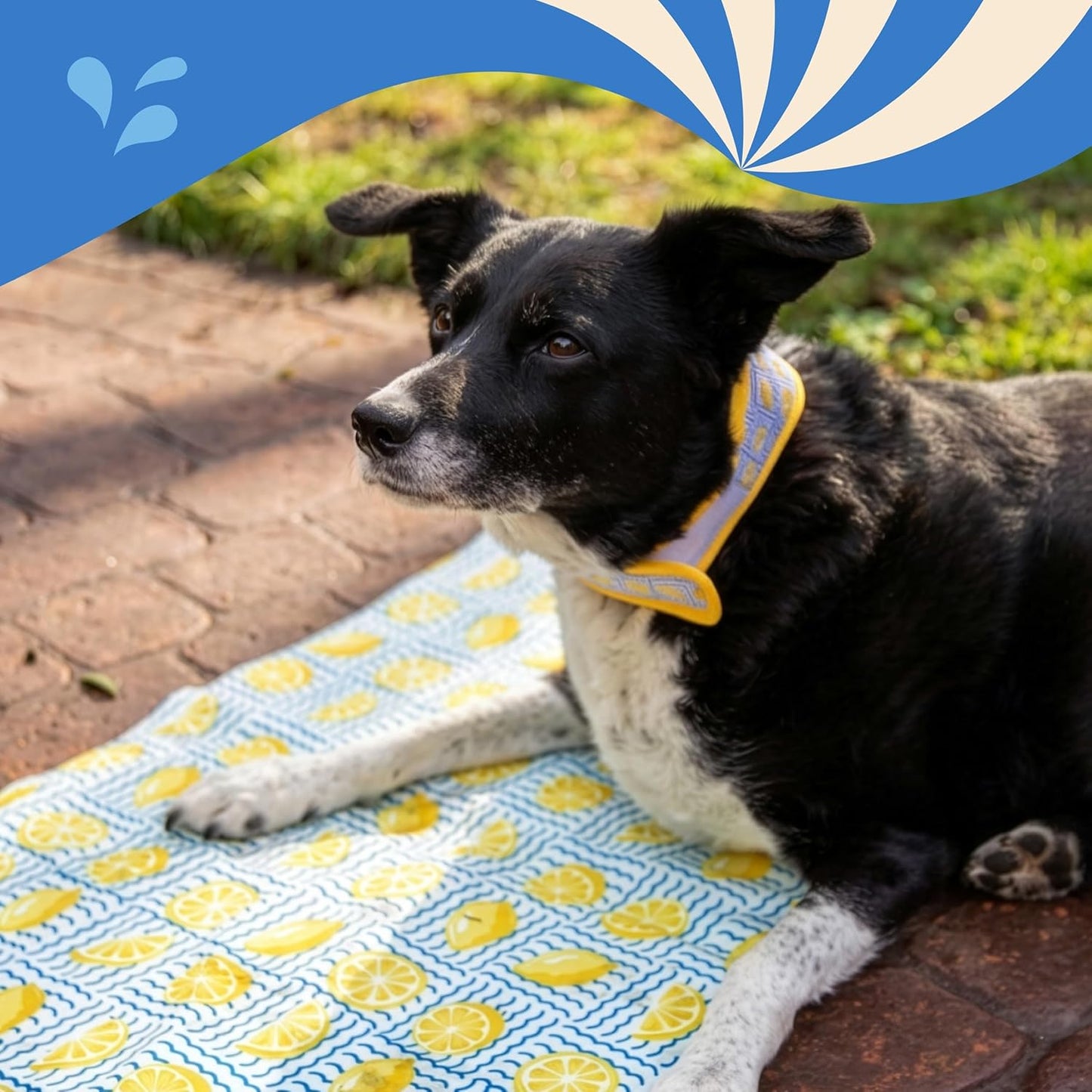 Rosewood Lemon Cooling Mat For Dogs 65 x 50cm