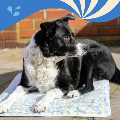 Rosewood Premium Lemon Cooling Mat With Cover For Dogs & Cats 68 x 53cm