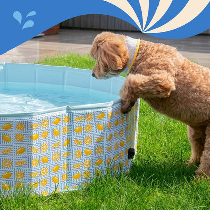 Rosewood Lemon Print Dog Paddling Pool