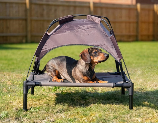Rosewood Sheltered Dog Bed Lounger With Overhead Shelter