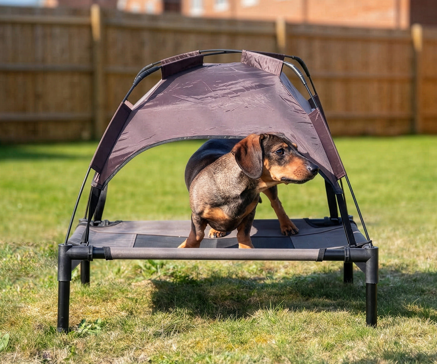 Rosewood Sheltered Dog Bed Lounger With Overhead Shelter