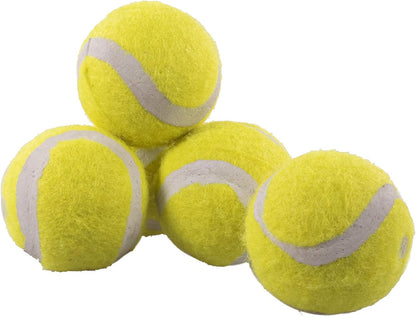 Rosewood Mini Tennis Ball Net Of 5