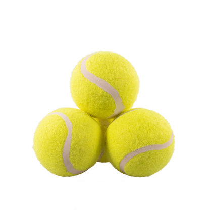 Rosewood Squeaky Dog Tennis Balls Net Of 3