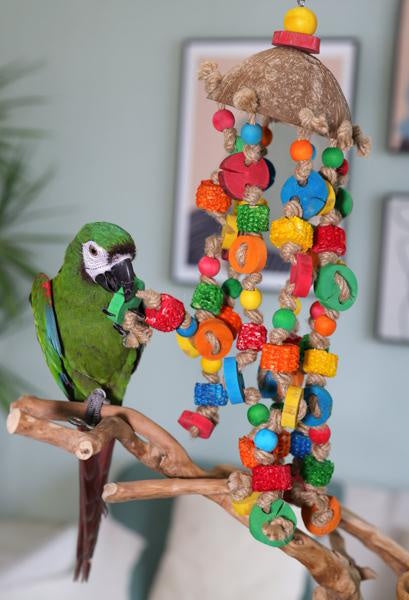 Boredom Breaker Java Disc Octopus Bird Toy