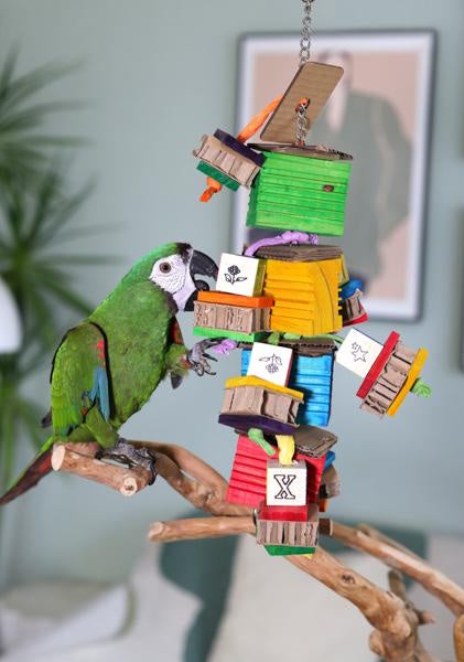 Boredom Breaker Groovy Blocks Bird Toy